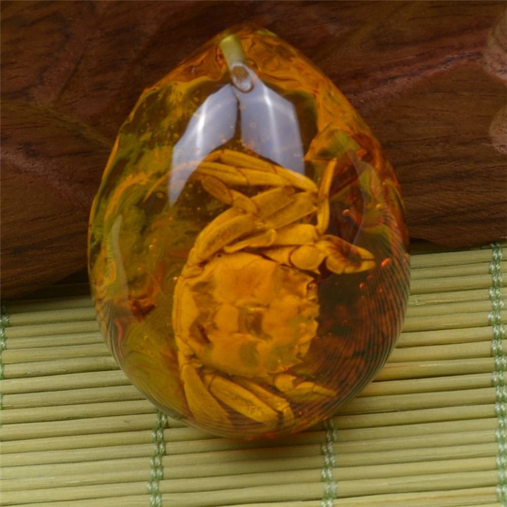 천연 거친 나비 호박석 곤충 표본 펜던트 목걸이, 보석 - Resin Art Necklace 리뷰 및 가격