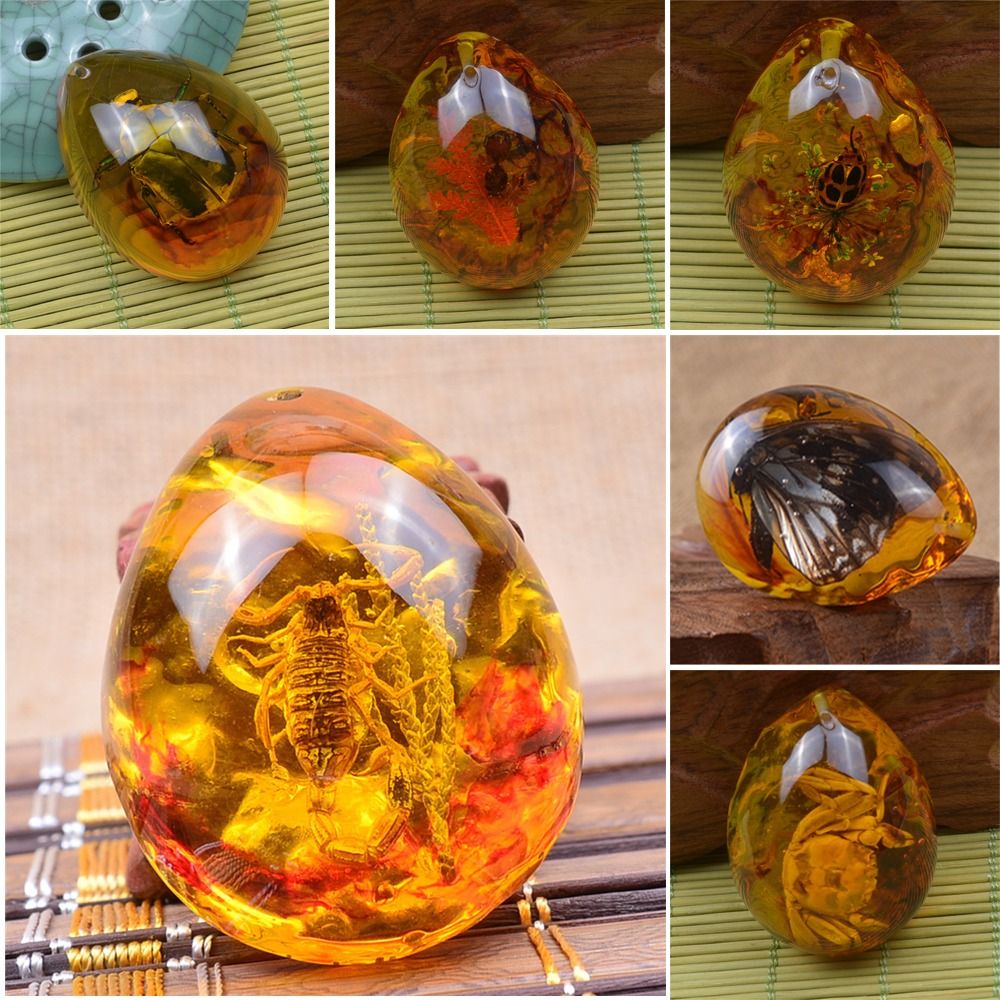 천연 거친 나비 호박석 곤충 표본 펜던트 목걸이, 보석 - Resin Art Necklace 리뷰 및 가격
